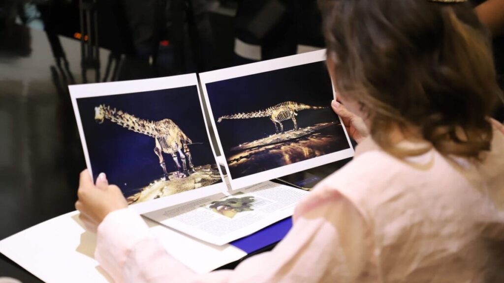 El Fósil ‘Einstein’: Prestado y No Donado al Municipio de San Pedro Garza García