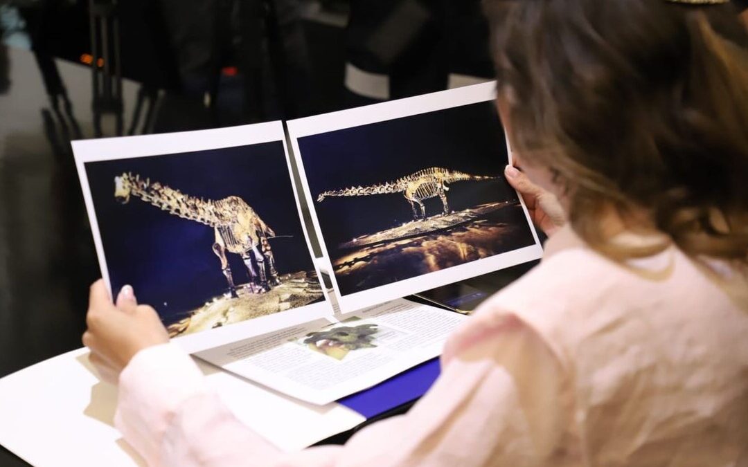 El Fósil ‘Einstein’: Prestado y No Donado al Municipio de San Pedro Garza García