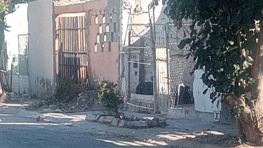 Alarma en Quintas los Nogales de Torreón: Perros Agresivos y Abandono de Espacios Públicos