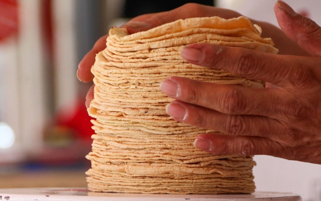Precios de la Tortilla y Gasolina en Puebla: Inicio del 2026 con Nuevas Tarifas