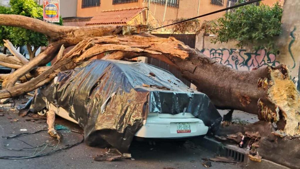 Sismo en Guerrero: Más de 30 inmuebles afectados y 2 en riesgo de colapso en CdMx