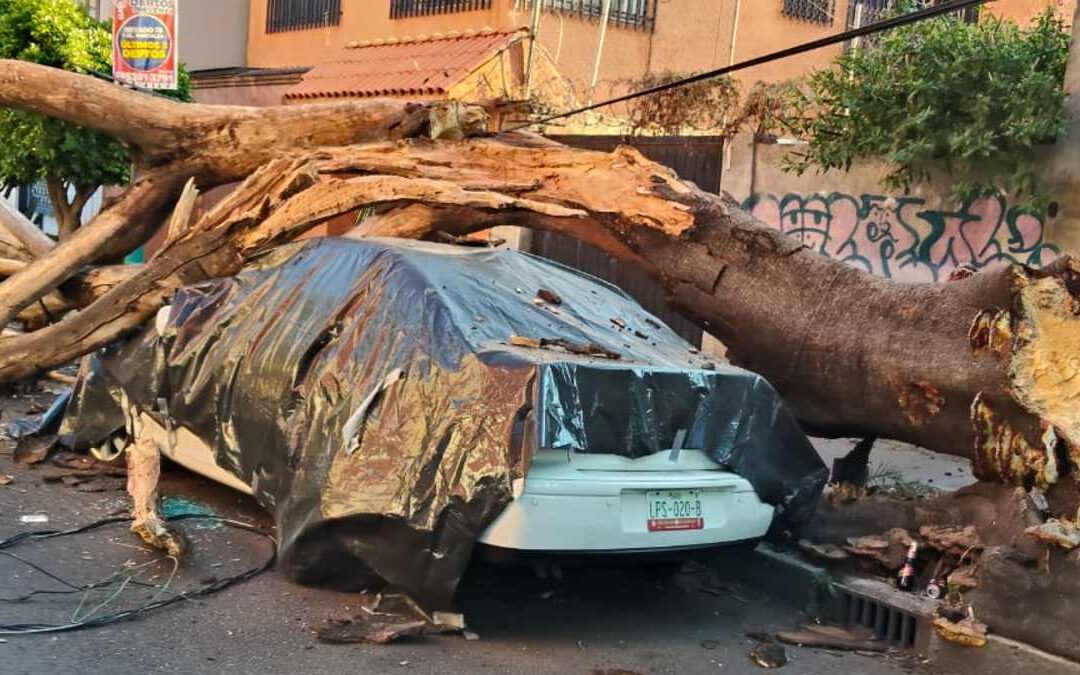 Sismo en Guerrero: Más de 30 inmuebles afectados y 2 en riesgo de colapso en CdMx
