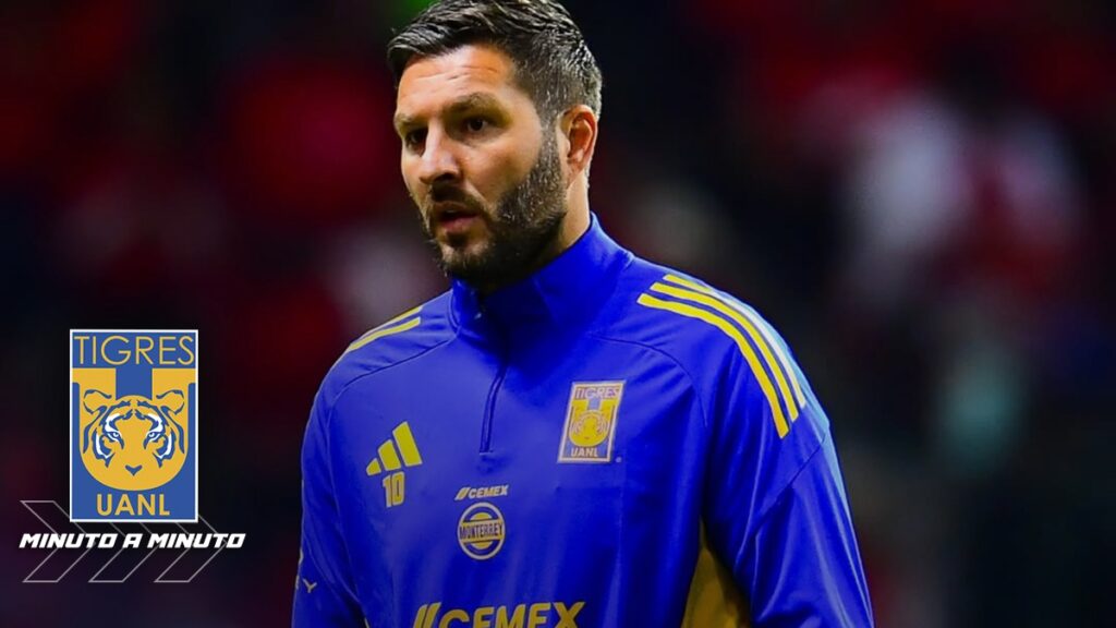 Tigres Pretemporada: Últimas Noticias y Jugadores Presentados en el Primer Día