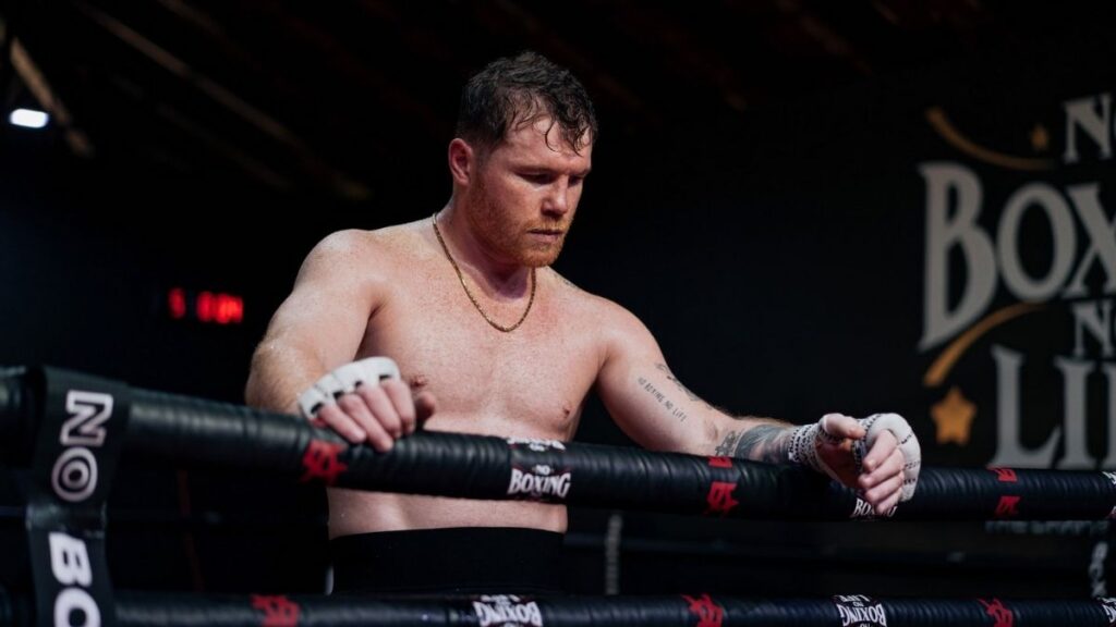 Descubre el Boxeo Profesional en 2026: Reglas, Títulos y Referentes Esenciales