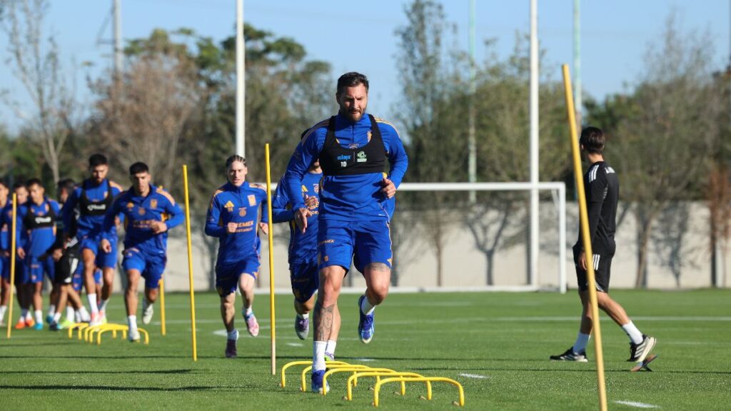 Tigres UANL Inicia Entrenamientos para la Jornada 1: Jugadores que No Han Reportado