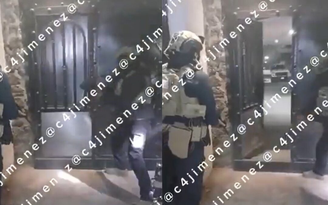 Nacen Perritos durante un Operativo en Xochimilco; Capturan Armamento y Drogas del Cártel de Sinaloa