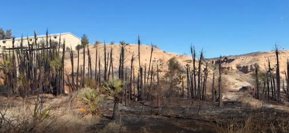 Incendio forestal en Whitney Mesa Park: La familia de Kevin Reed exige respuestas