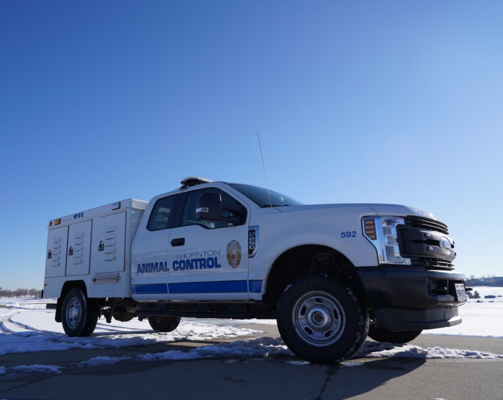 Cómo Proteger a tus Mascotas Durante las Temperaturas Extremas