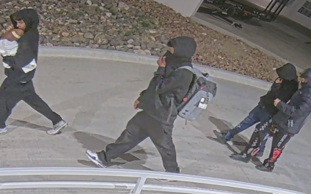 Desmantelan red de robos en NMSU: La policía de Las Cruces actúa ante el vandalismo en el campus